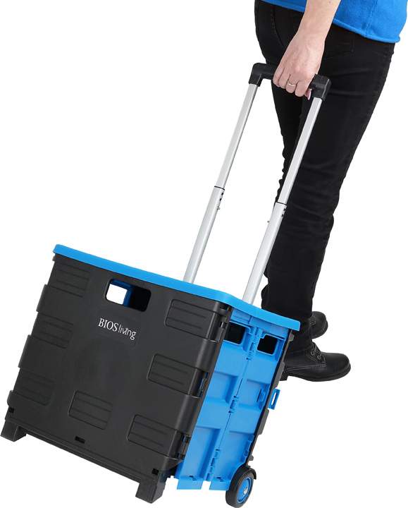 Foldable Rolling Shopping Cart